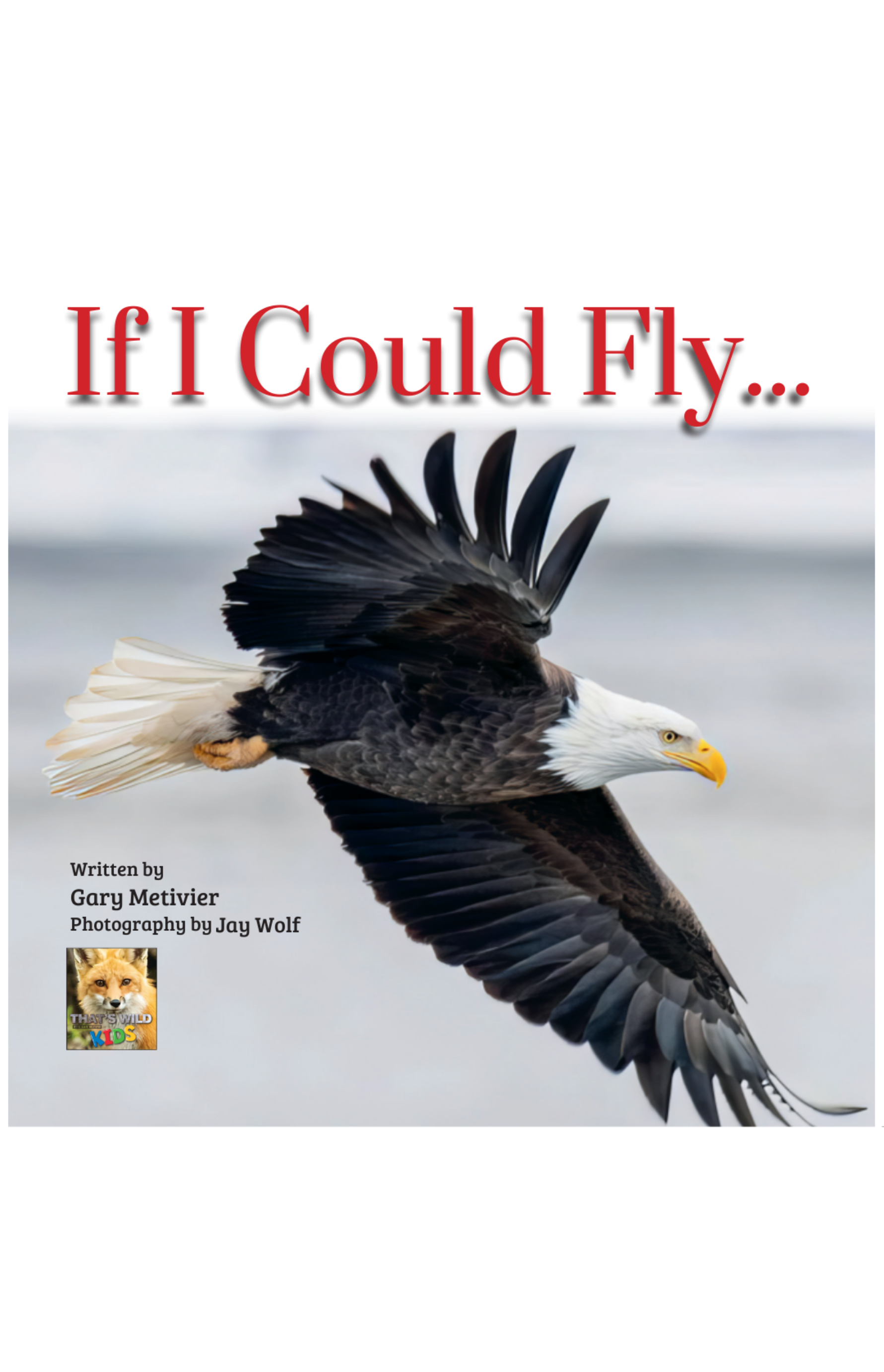 If I Could Fly