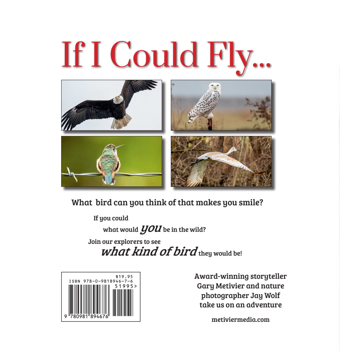 If I Could Fly